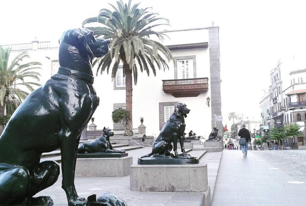 digital nomad dogs in gran canaria outside the cathedral