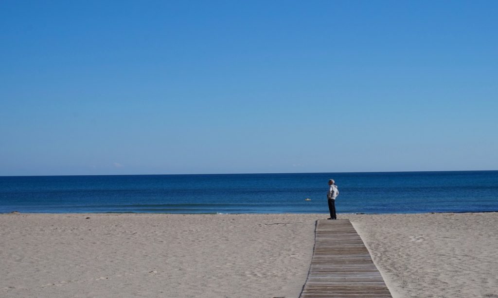 american refugees in spain